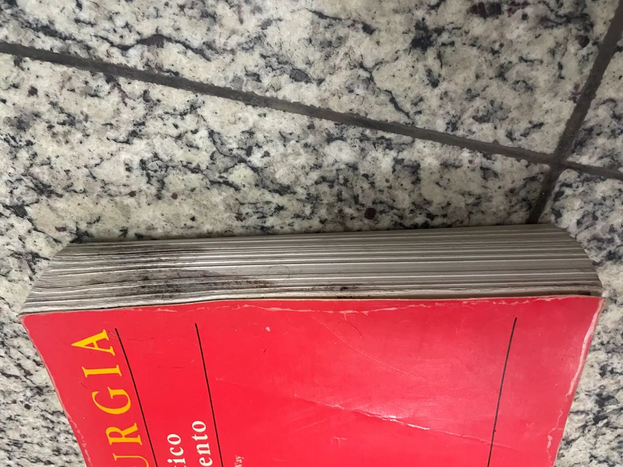 Livro CIRURGIA Diagnóstico e Tratamento - Foto 2