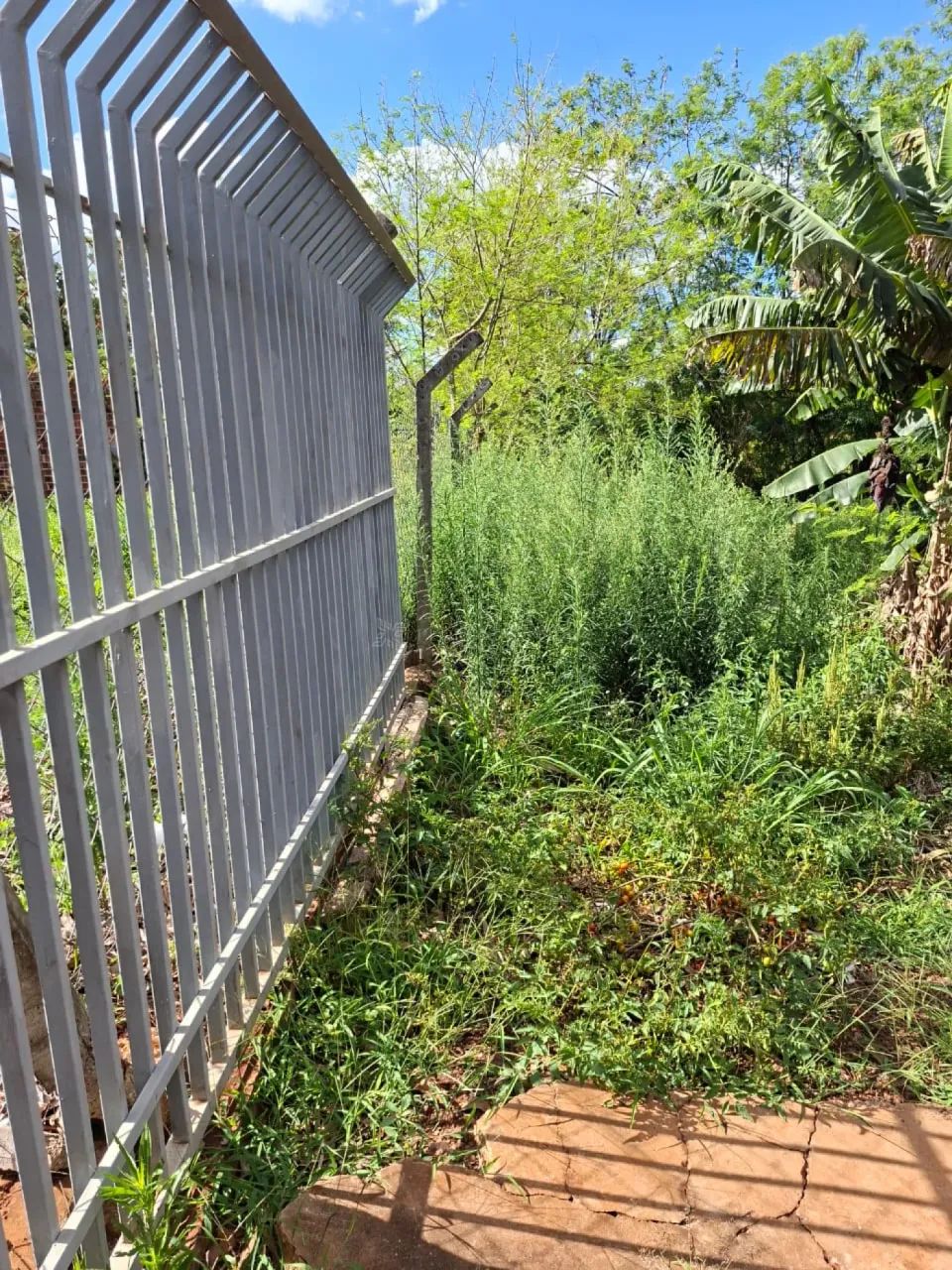 Terreno Padrão em Maringá - Foto 4