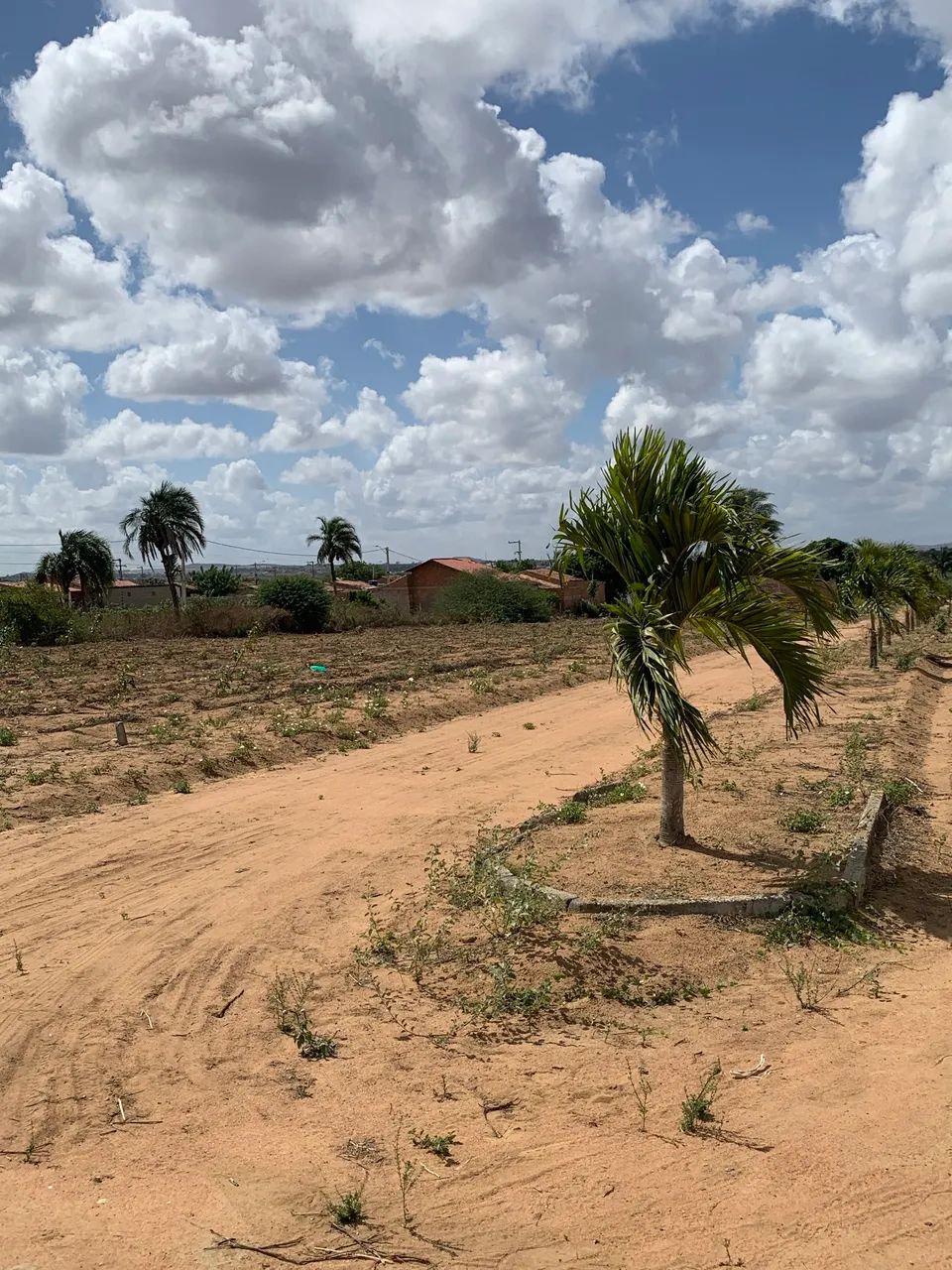 VENDO TERRENOS EM CRAÍBAS!!!  - Foto 2