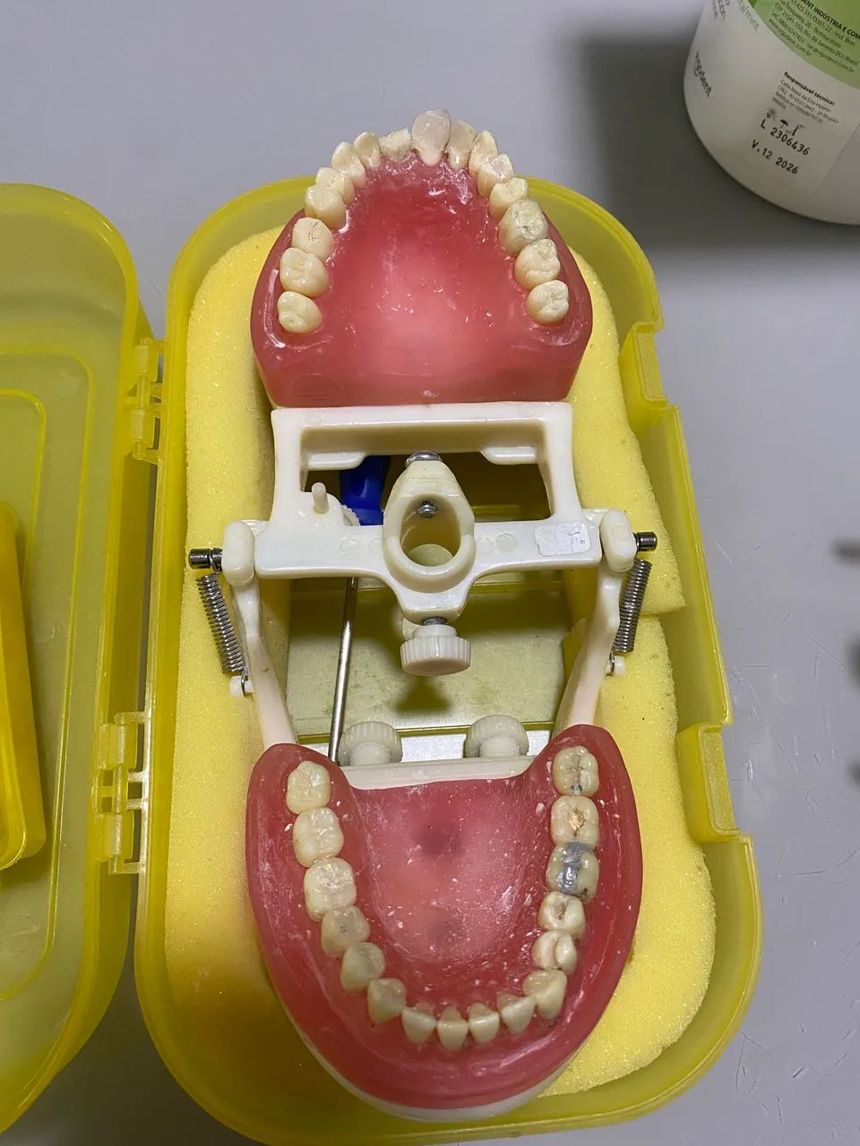 Manequim odontológico  - Foto 2