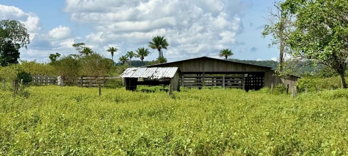 VENDE-SE FAZENDA - REGIÃO DO AMAJARI<br> - Foto 2