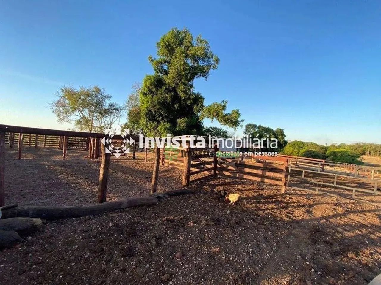 Fazenda à venda com 52 alqueires, excelente logística e aptidão agrícola - Foto 4