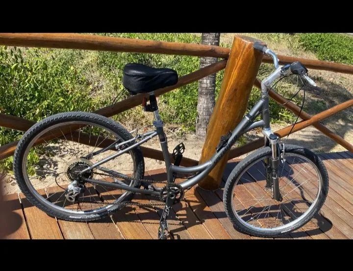 Bike Specialized 