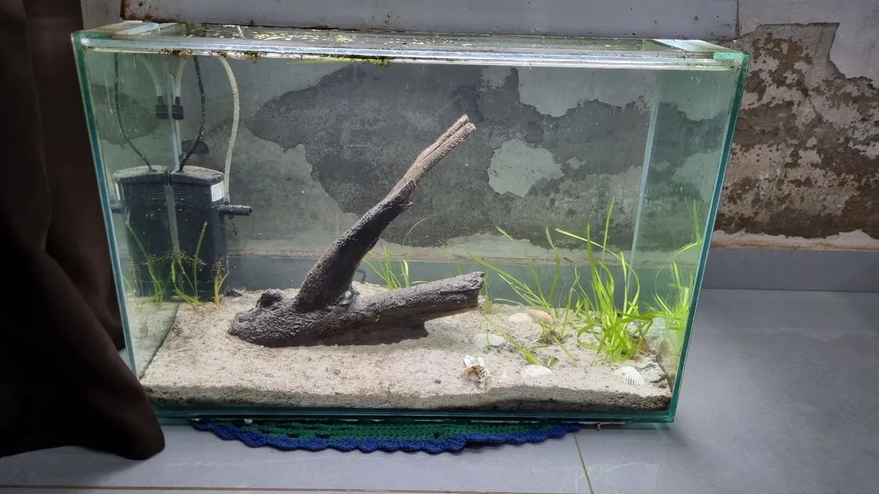 Aquario 72 Litros - Foto 6