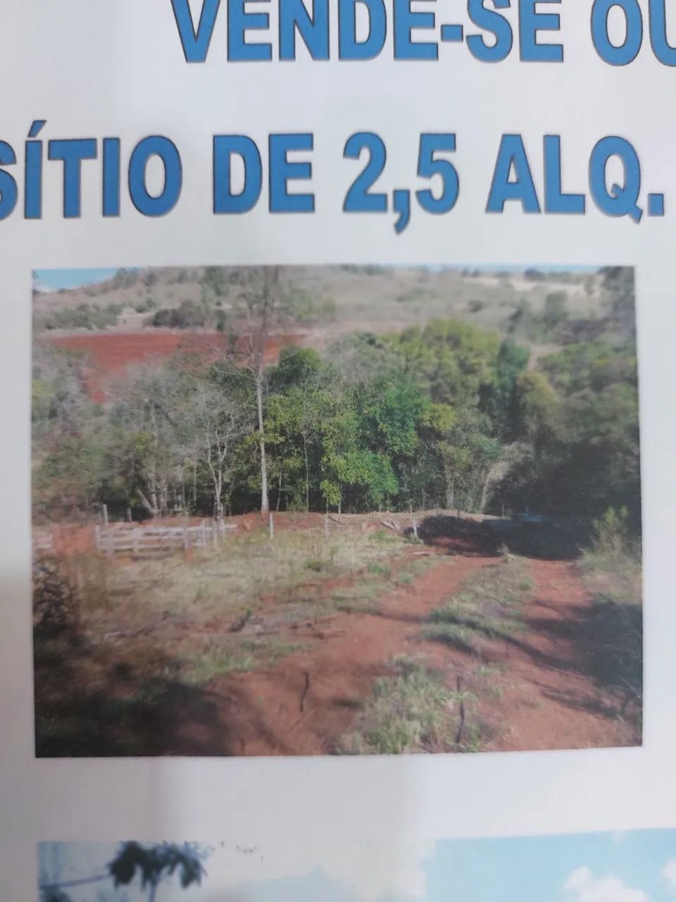 Sítio barato em Assai-pr - Foto 2