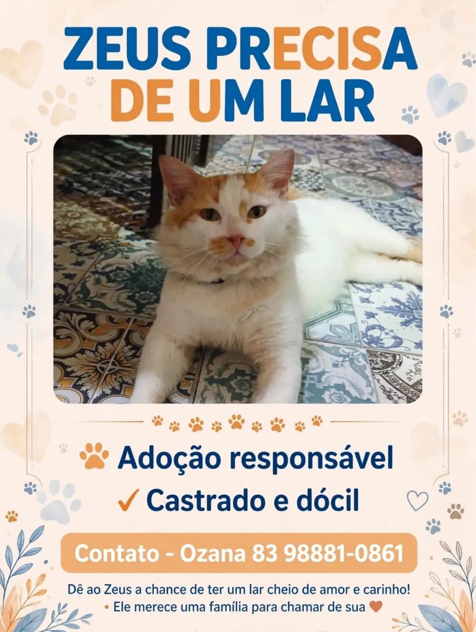 Gatinho para adoção responsável 