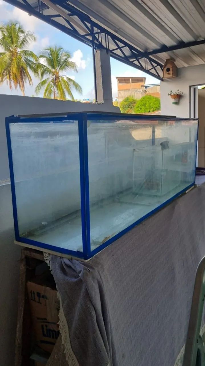 Aquário retangular  - Foto 3