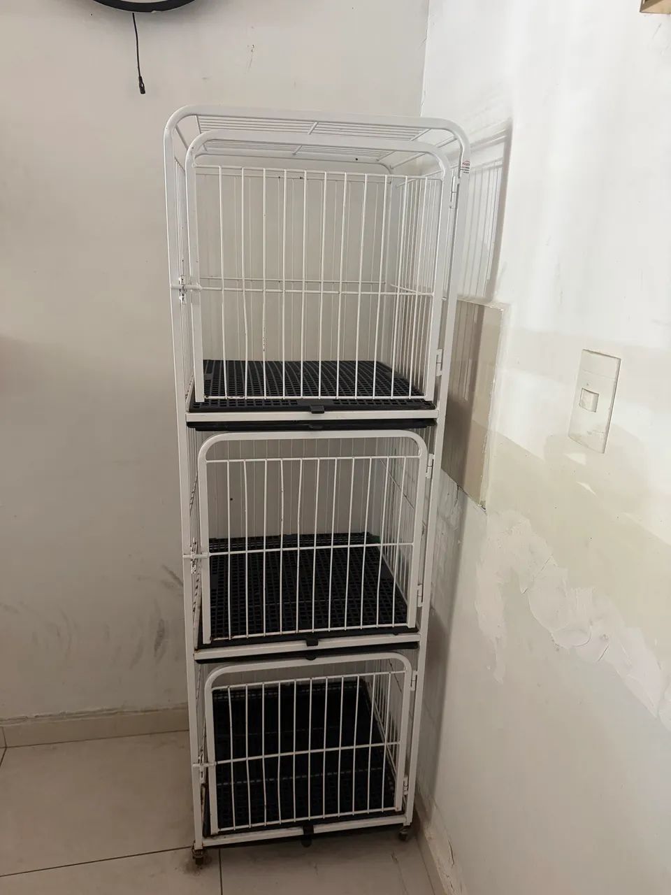 Equipamentos para banho e tosa 