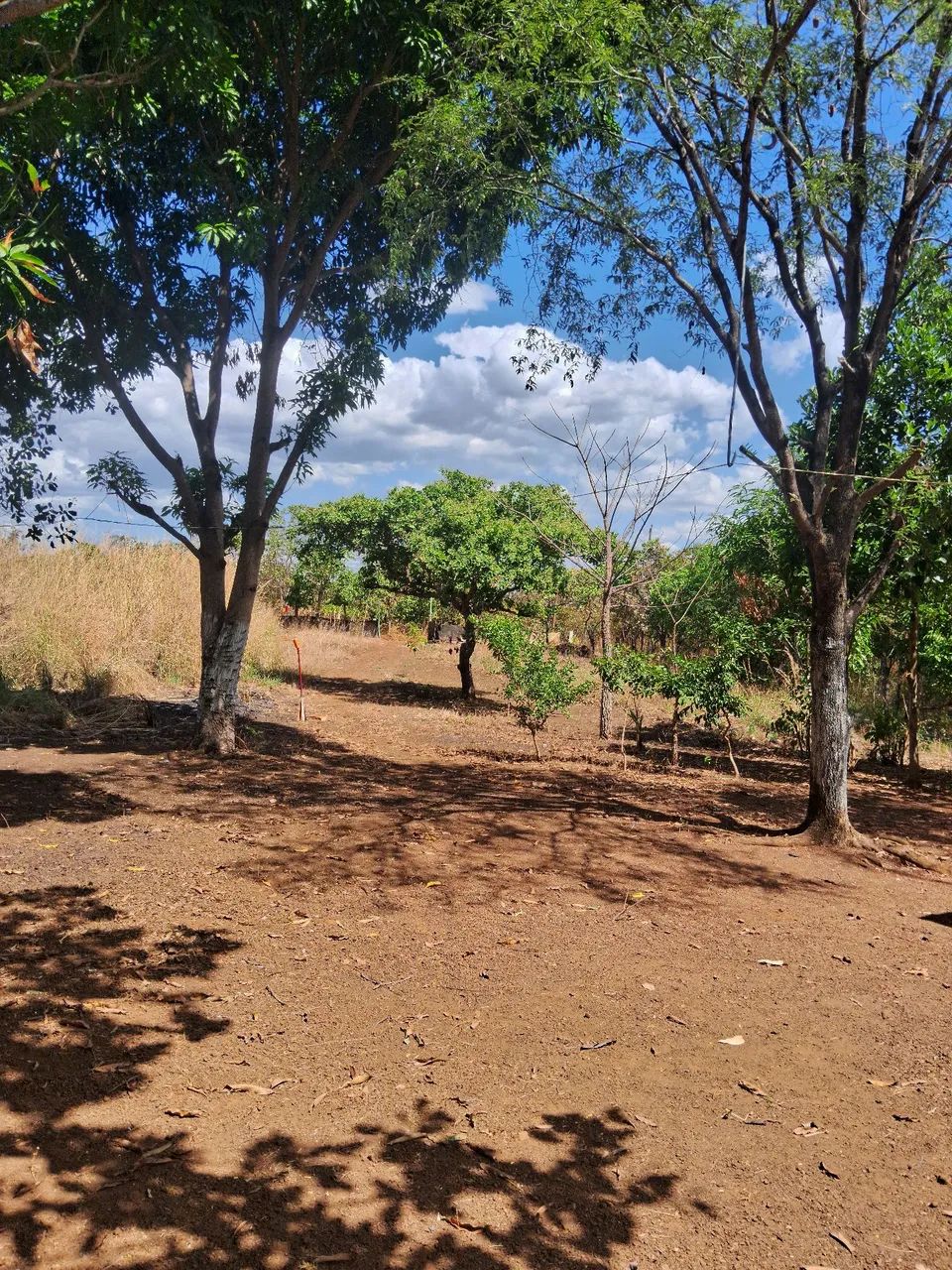 Chacara no coqueirinho  - Foto 3