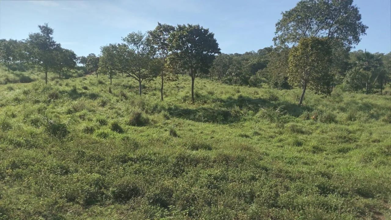 Super oportunidade 23.5 Alq 10 km de Paraíso - Foto 2