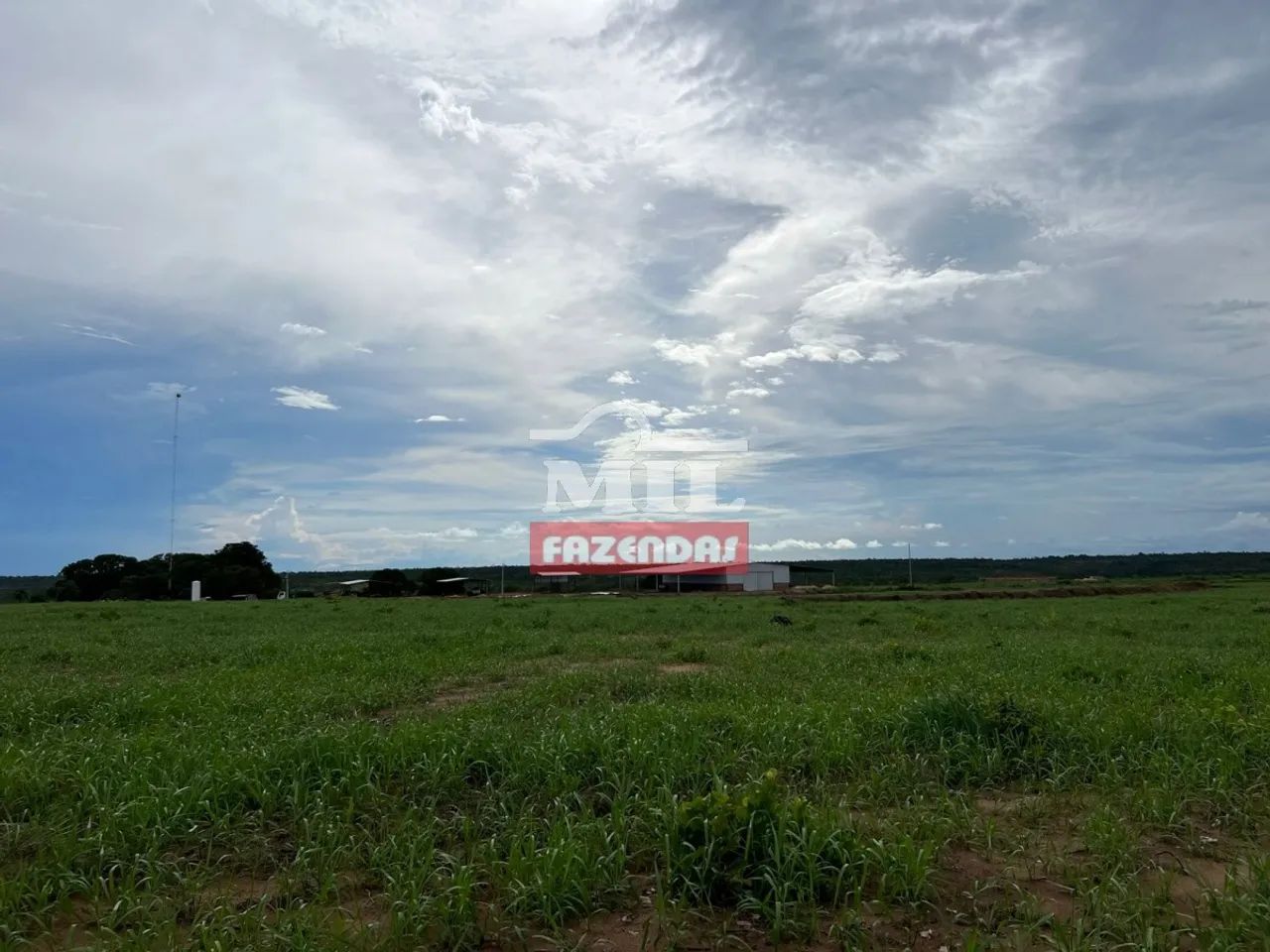 ARRENDAMENTO AGRÍCOLA CENTENÁRIO  TO 2.600 Hectares - Foto 3