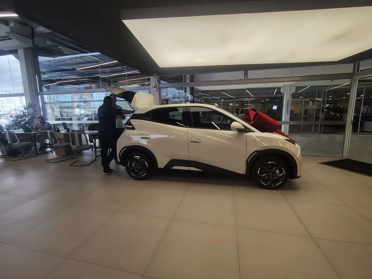 BYD Dolphin Mini (Elétrico) 2026 - Foto 5
