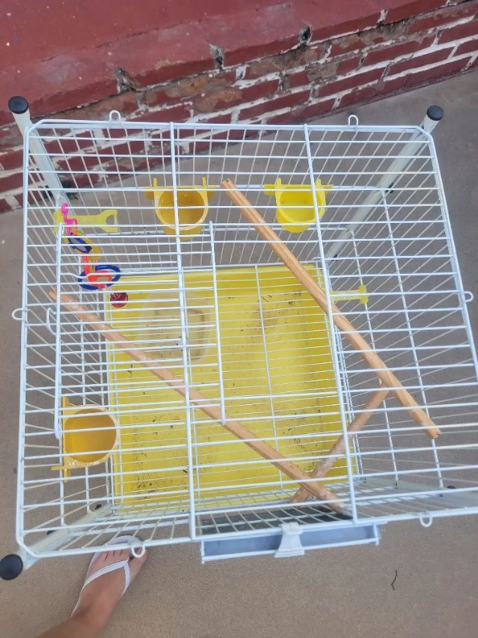 Gaiola para periquito e calopsitas - Foto 2
