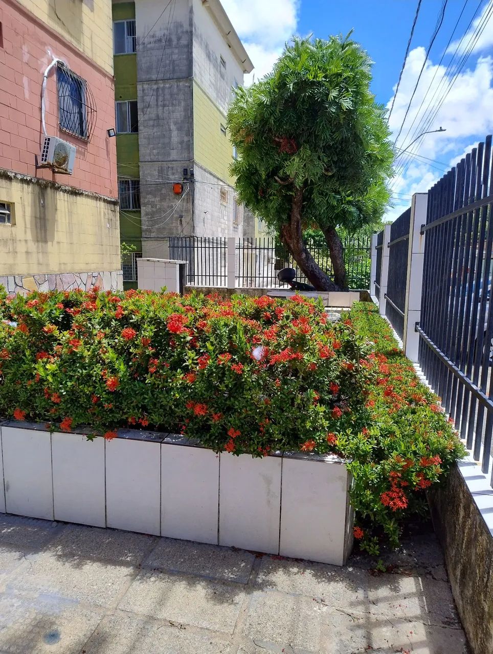 Apartamento no Rui palmeira para vender  - Foto 2