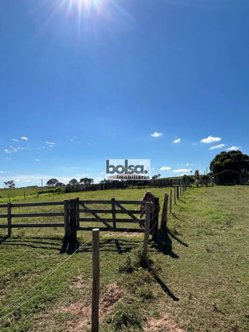 Fazenda montada Bauru - SP - Foto 5