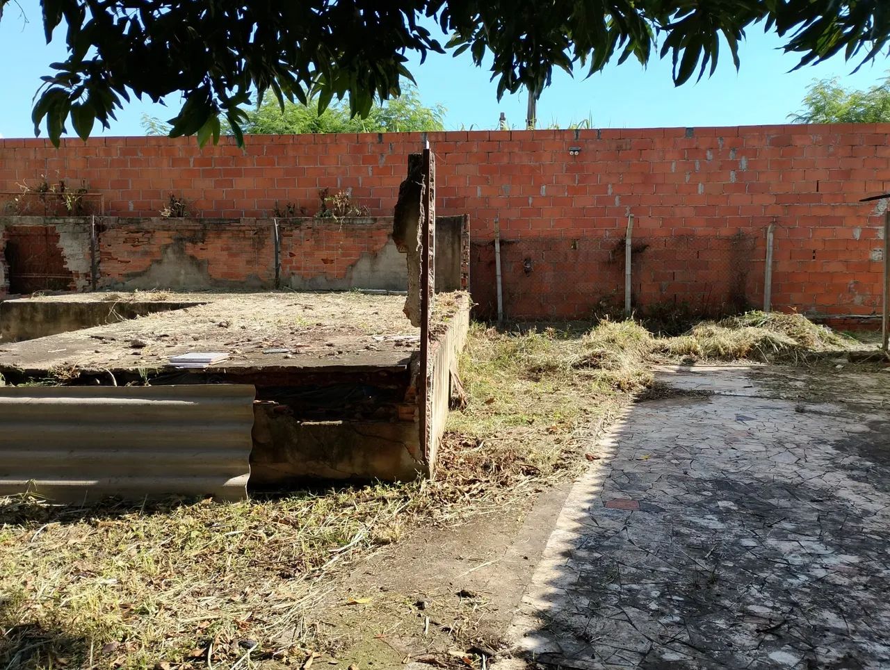 Manutenção de jardim, e serviço de roçagem. - Foto 5