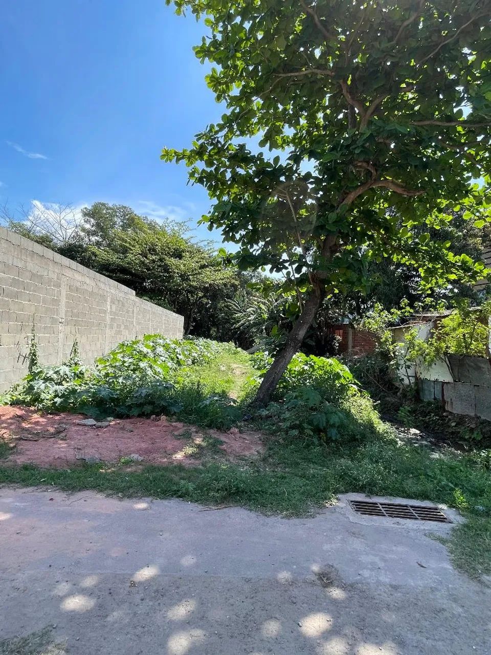Terreno em Morada da Barra - Foto 3