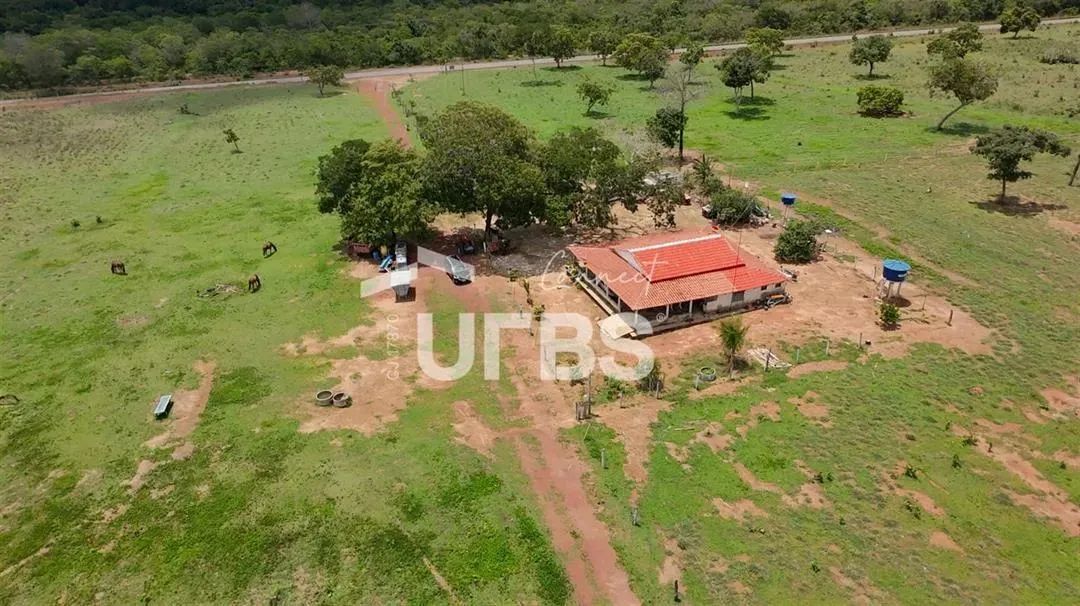 FAZENDA 90 ALQUEIRES - Foto 3