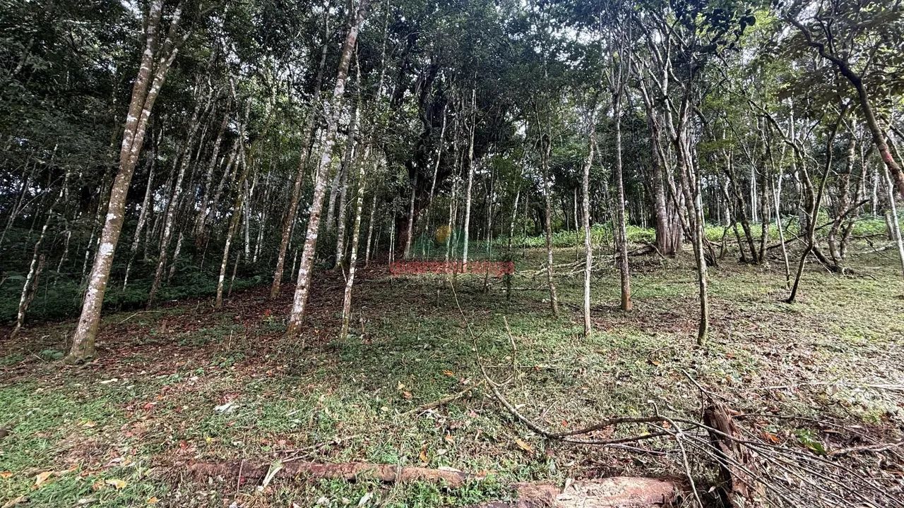 Gleba com 5.006,73 m², com documentação em Guaramiranga/CE. - Foto 2