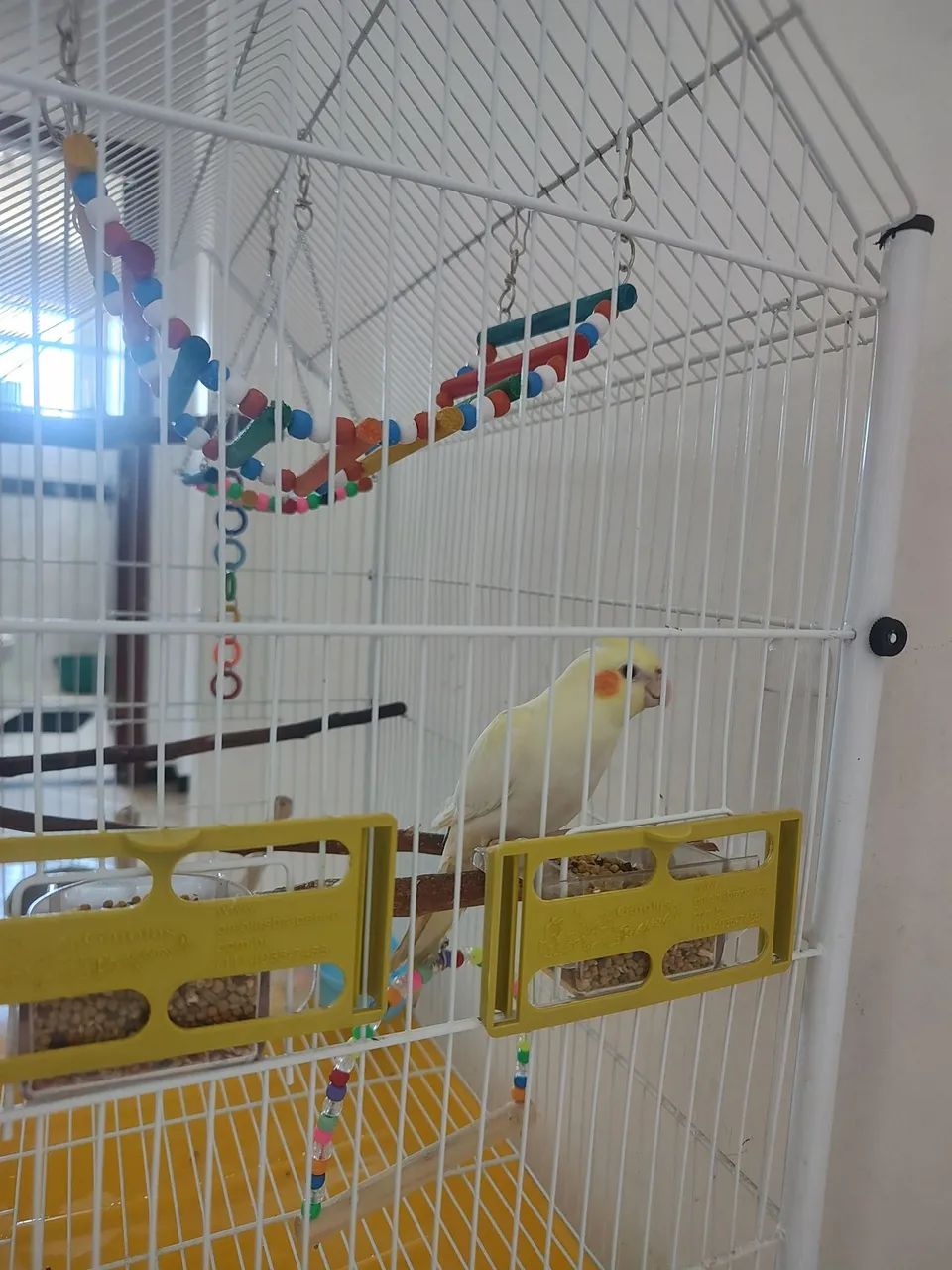 Gaiola espaçosa completa  - Foto 6