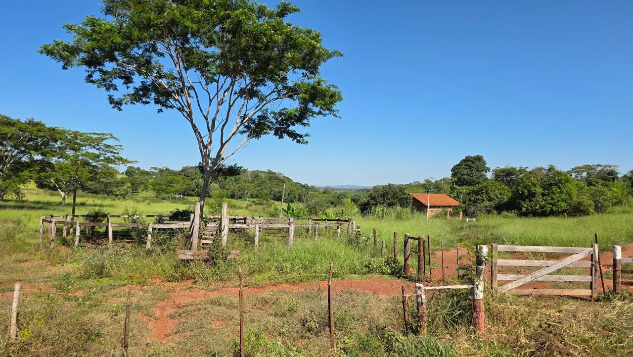 Vendo ou Troco_Lote Assentamento Flórida 