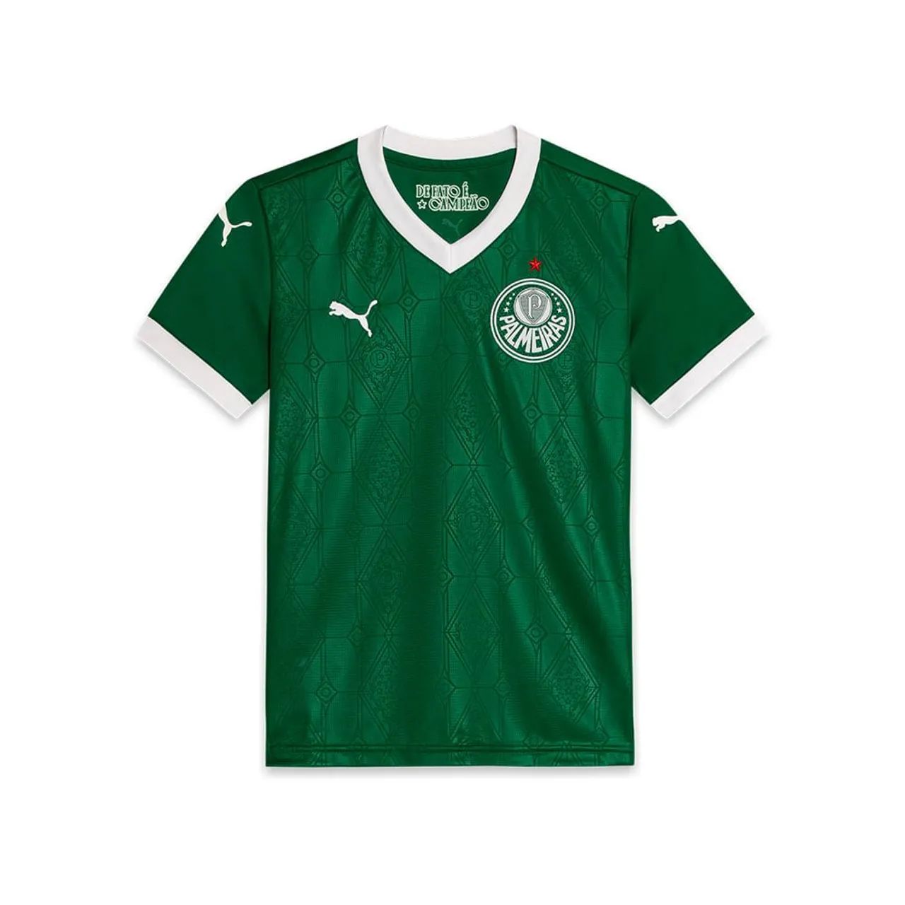 Camisa Palmeiras 2025 - Juvenil 14