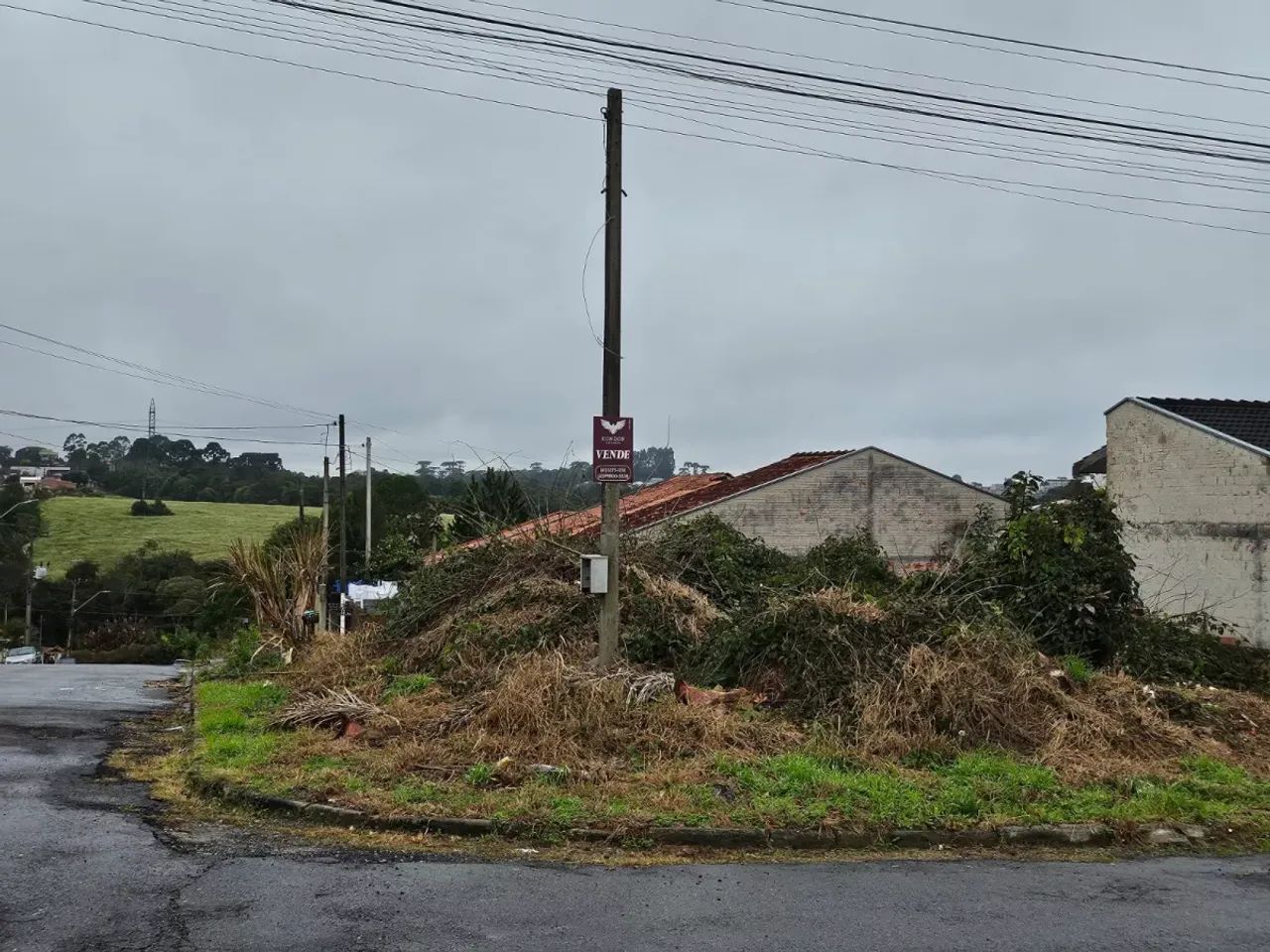 Terreno / Lote em CAMPO LARGO com 221 m² - Foto 3