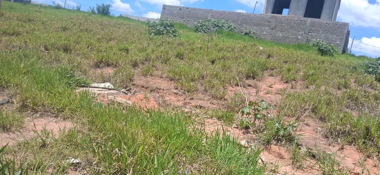 Terreno Bela Aliança 3 - Foto 3