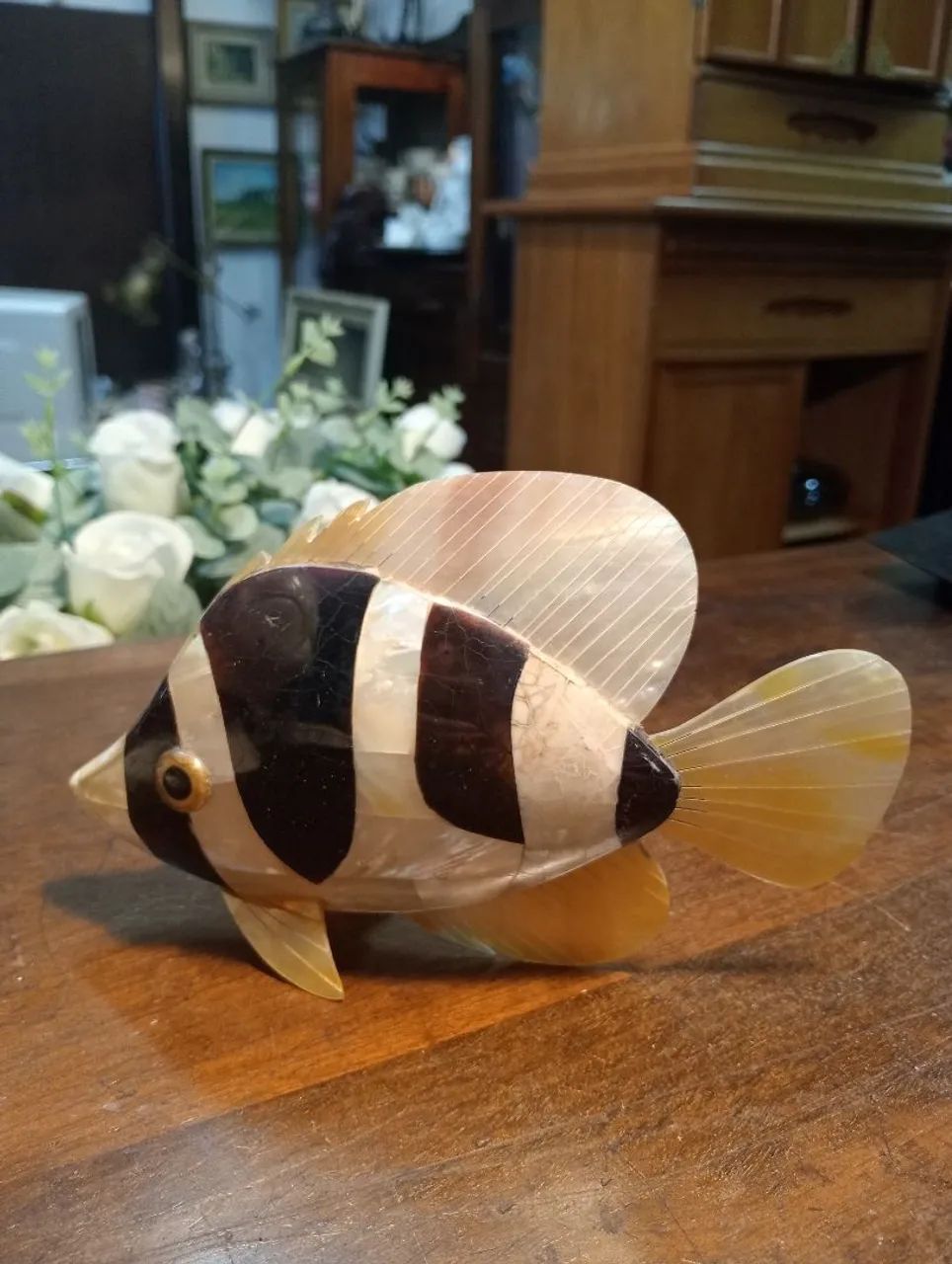 Peixe 
