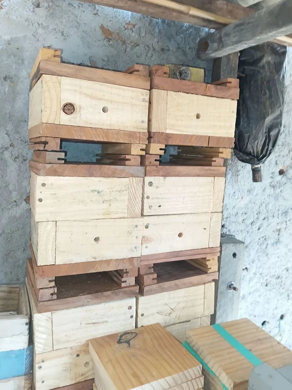 Enxames asf  - Foto 4