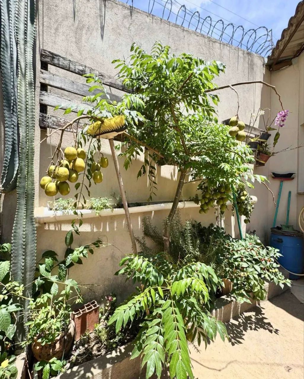 10- Casa no Araçagi  - Foto 5