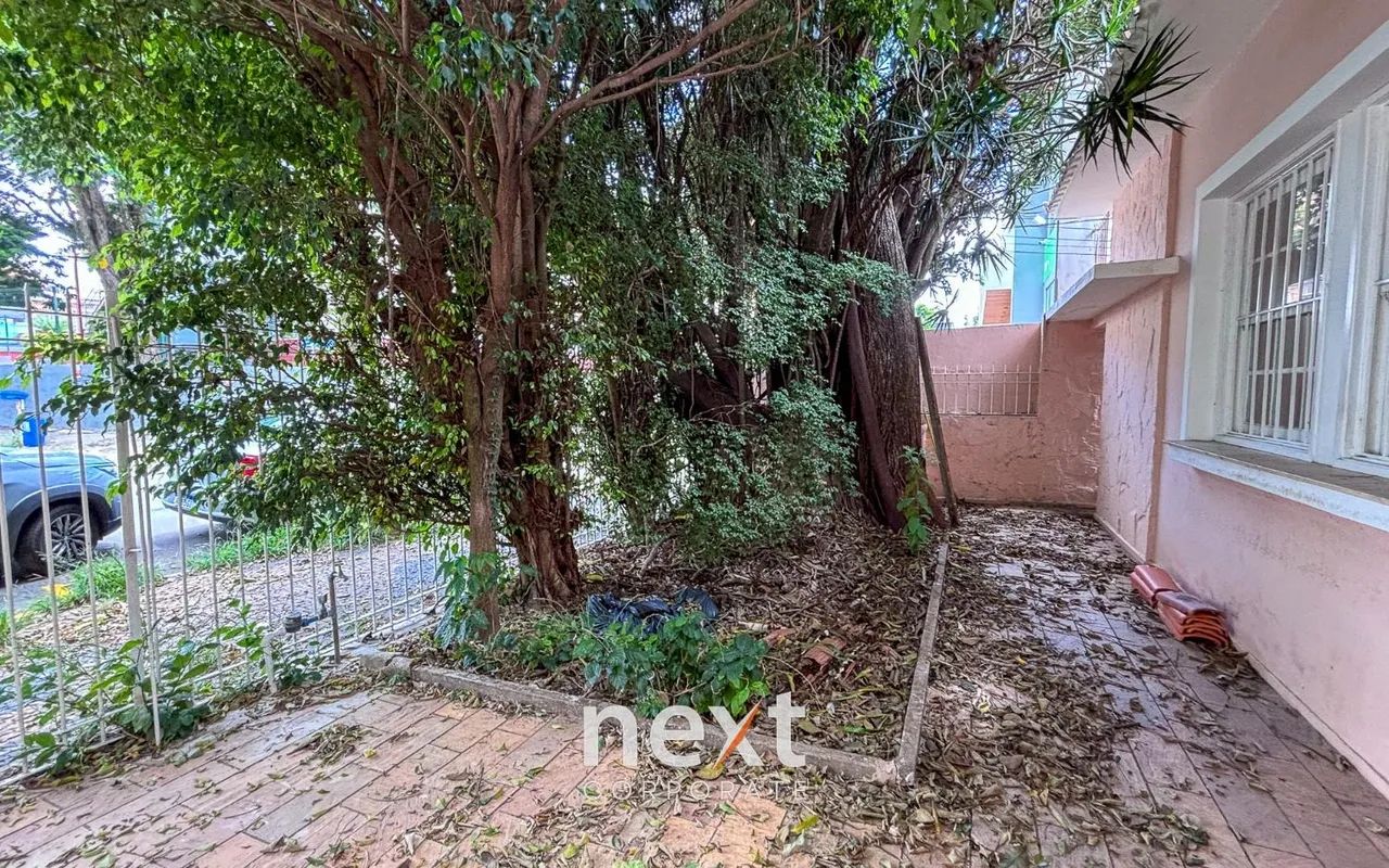 casa - Cambuí - Campinas - Foto 2