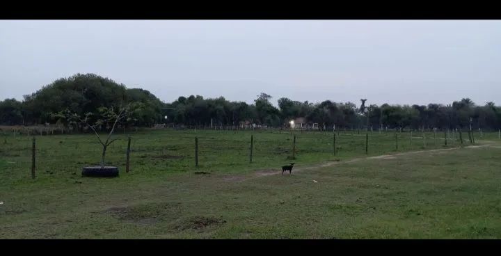 Terreno/Área de 650.000m2  em Itaguai/Seropédica RJ - Foto 3