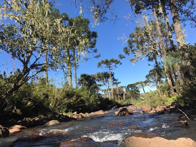 Chácara com rio em Urubici - Foto 7