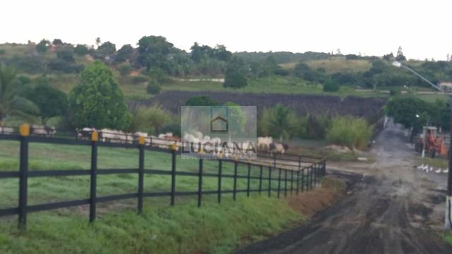 Fazenda em Bonança com 20 hectares (Cód.: 123que) - Foto 3