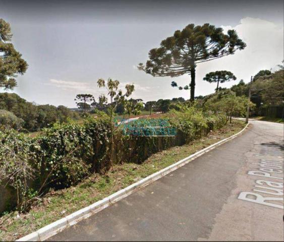 Terreno à venda, 3693 m² por r$ 1.124.222 - augusta - curitiba/pr - Foto 11