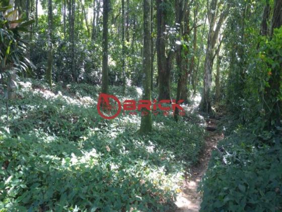 Lindo sítio em guapimirim com 2 casas e um chalé em um lindo condomínio com lazer. - Foto 19