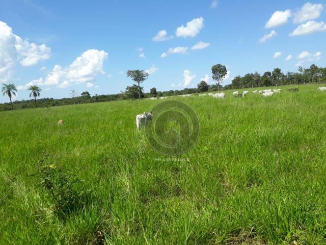Sítio à venda na região de cáceres/mt