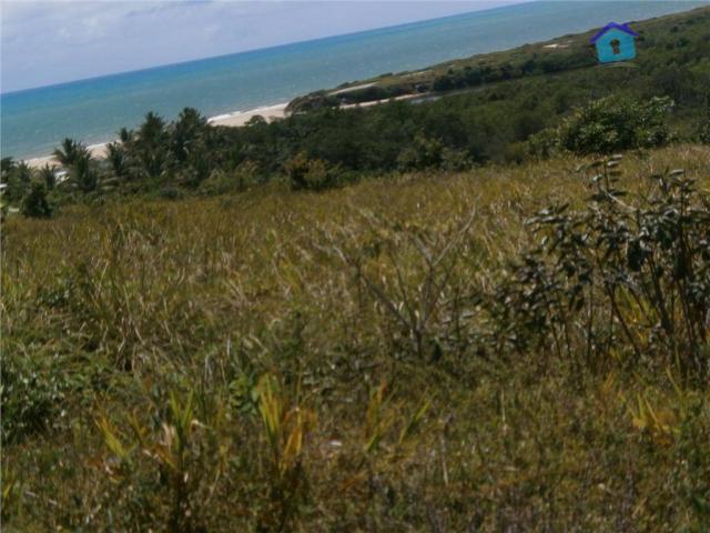 Esquina, 3 lotes junntos, vista permanente para o mar e o rio, rua principal de praia bela - Foto 5