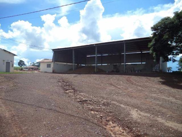 Fazenda c/ 3.480he c/ 80% formada, as margens da BR, Rondonópolis-MT - Foto 14