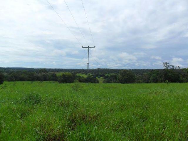 Fazenda c/ 840he c/ aprox. 400he formado, c/ GEO, Guiratinga-MT - Foto 6