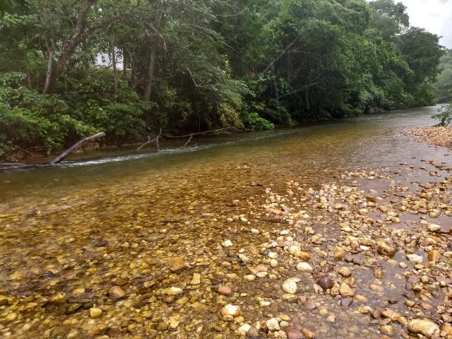 Chácara p/ lazer com piscina, passa o Rio Coxipo do Ouro, a 3km do asfalto - Foto 10