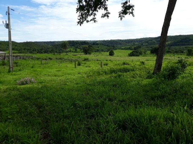 Fazenda c/ 912he, 550he formados, Terra boa, Itiquira-MT - Foto 16