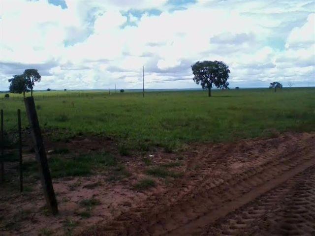 Fazenda c/ 1.350he c/ 80% formado, planta em 600he, Itiquira-MT, pego imóvel no PR - Foto 4