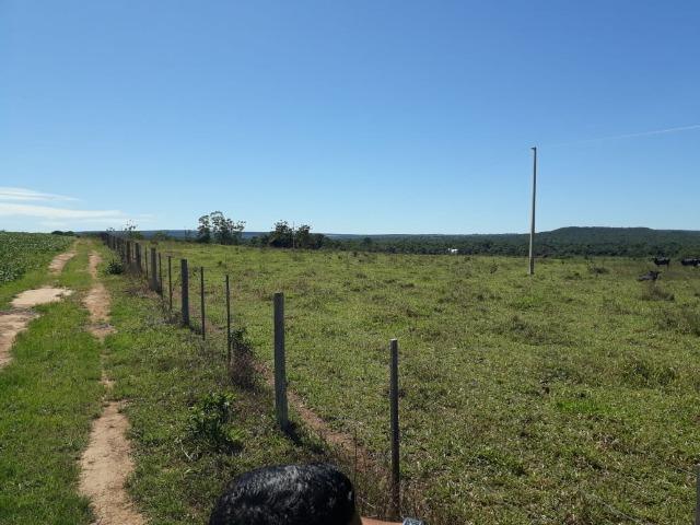 Fazenda c/ 620he, plantando em 200he, 240he em pastagens, Itiquira-MT - Foto 10