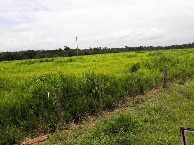 Fazenda 5.993 Hectares Dupla Aptidão - Vila Rica - MT