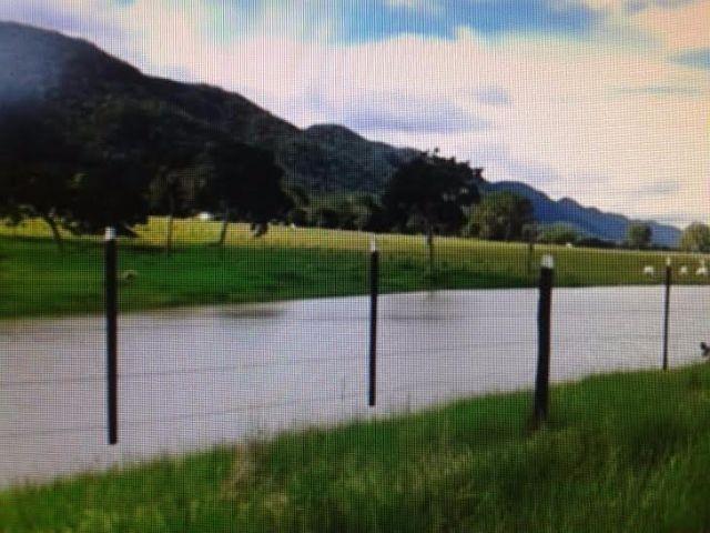 Fazenda c/ 1.098he c/ 80% formado, a 5km da BR, Caceres-MT - Foto 5