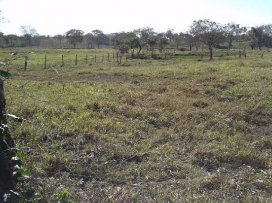 Sitio c/ 48he c/ 80% aberto, porteira fechada, N S Livramento-MT, faz troca - Foto 4