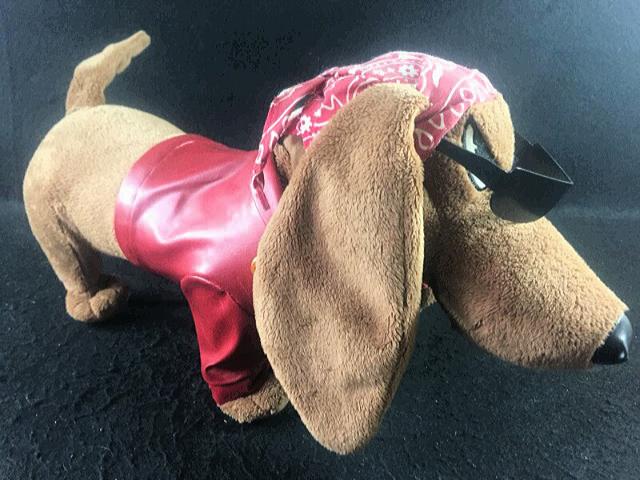 Cachorro "Badboy" Que Canta e Dança - Foto 2
