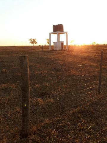 Fazenda c/ 830he, C/ 700he aberto, faz lavoura em 650he, Itiquira-MT - Foto 10